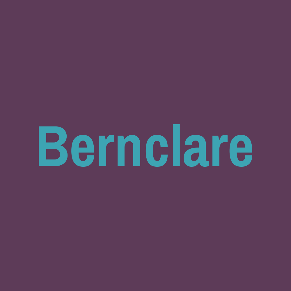 Bernclare.com logo