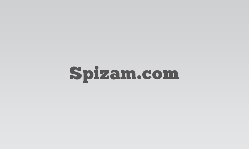 Spizam.com logo